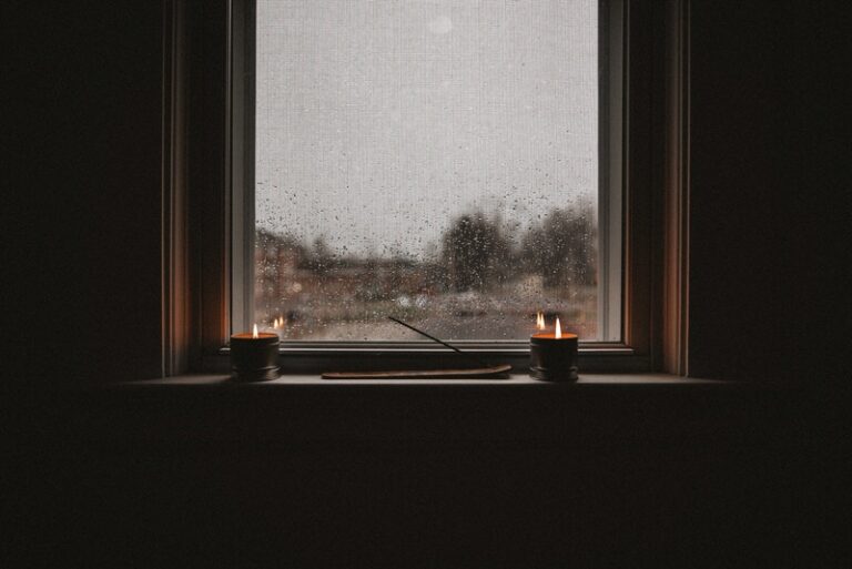 Two Flowers Loss Grief IVF In Vitro Fertilization Fertility Treatment Infertility Miscarriage Blog Support Resources allison-christine-SEbQSYozn7c-unsplash