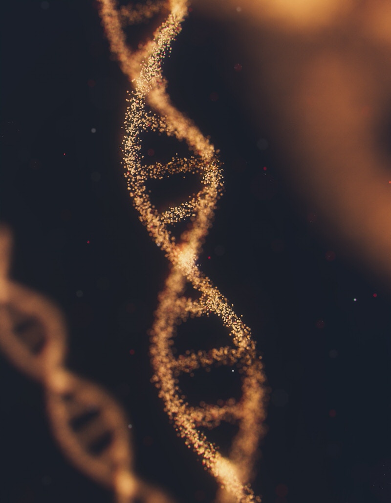 DNA PGT-A Testing Embryos Loss Grief IVF In Vitro Fertilization Fertility Treatment Infertility Miscarriage Blog Support Resources
