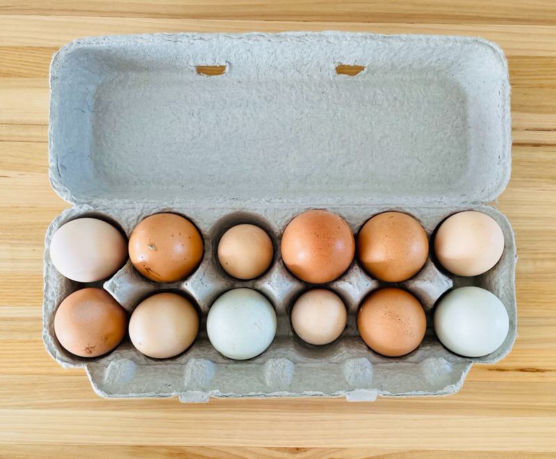 Egg Retrieval Attrition Results Mature Fertilized IVF In Vitro Fertilization Fertility Treatment Infertility Miscarriage Blog Support Resources