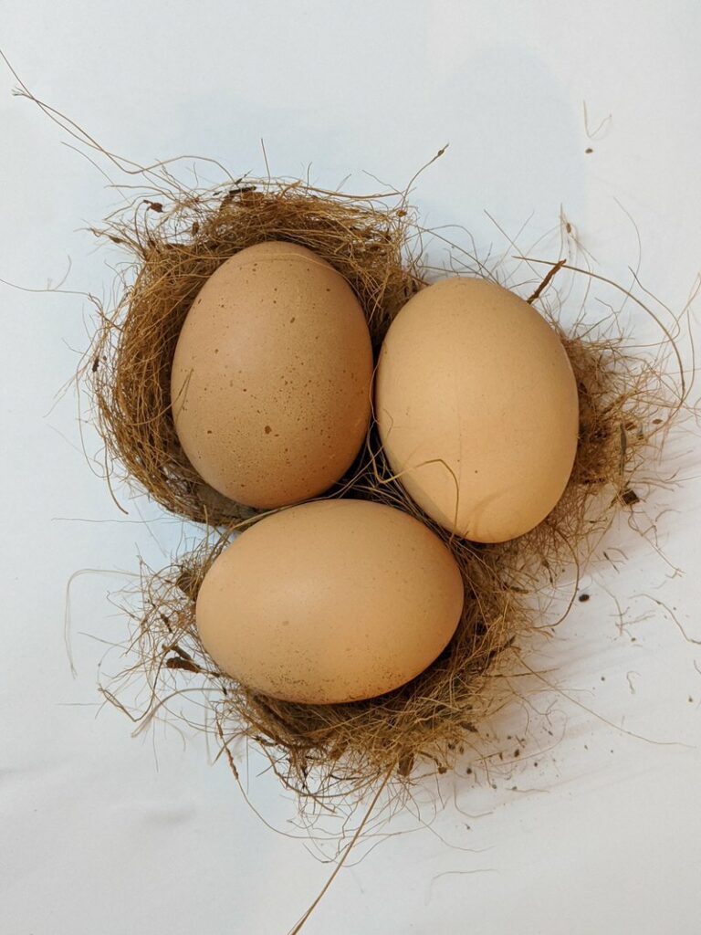 Egg Retrieval Attrition Results Mature Fertilized IVF In Vitro Fertilization Fertility Treatment Infertility Miscarriage Blog Support Resources