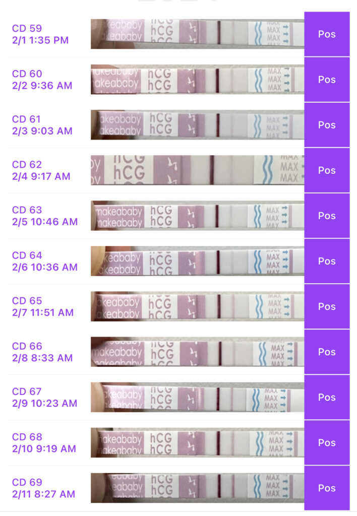 Line Progression HCG Booster Shot Pregnancy Test